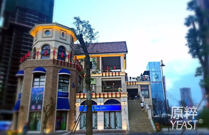 8鸥鹏潼南-组1239