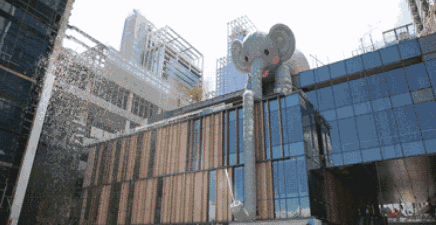 微信图片_20190214142153